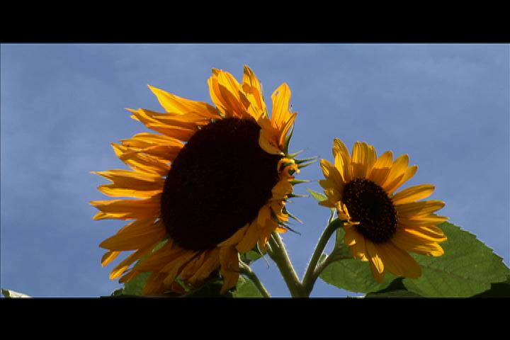 20090315004742p:image:w360