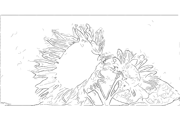 20090315005014p:image:w360